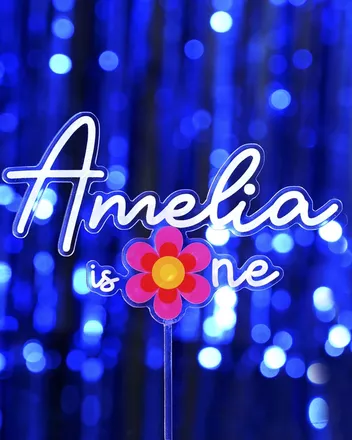 Custom Shape Acrylic Cake Topper